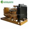 hot in southafrica gas powered generator for sale